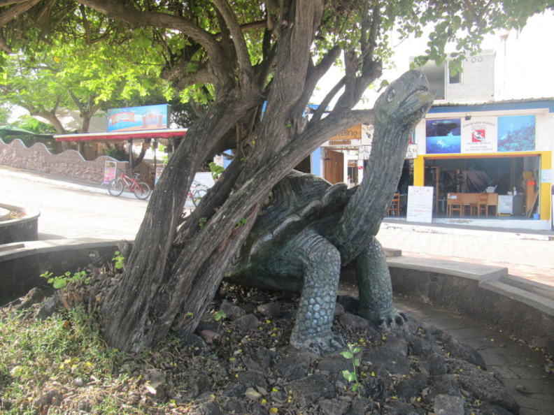 Una tortuga super gigante en las calles de Puerto Ayora