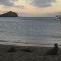 islas_galapagos-234.jpg