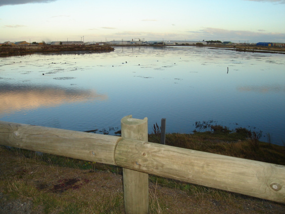 Humedal de aves en Tres Puentes - Punta Arenas