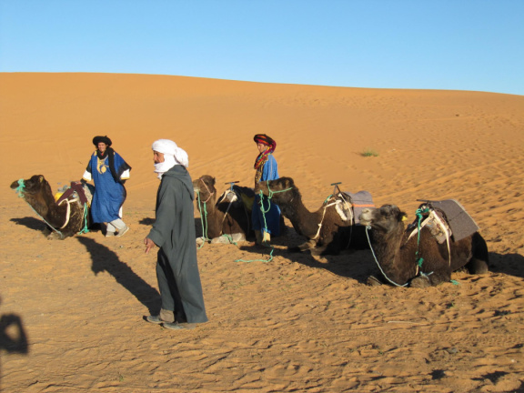 Calientando los camellos para iniciar el viaje