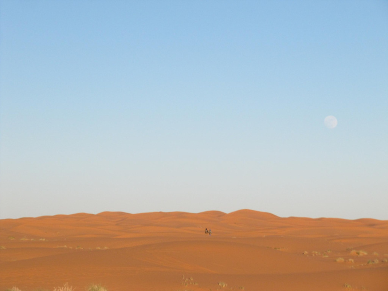 el desierto, las dunas y la luna