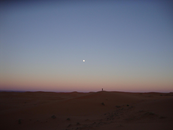 sahara desert 2015-031