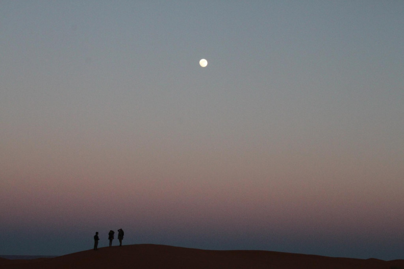 sahara_desert_2015-035.jpg