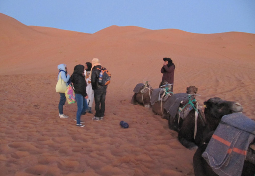 y hacia frio en el desierto. (2829 visits) y hacia frio en el desierto.