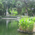 un lago artificial en el parque de Hong Kong