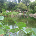 un lago artificial en el parque de Hong Kong