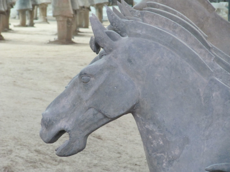 un closeup a los caballos guerreros de terracotta