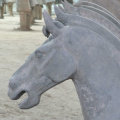 un closeup a los caballos guerreros de terracotta