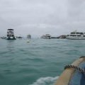 En el puerto de Puerto Ayora