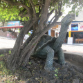 Una tortuga super gigante en las calles de Puerto Ayora