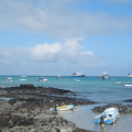 islas_galapagos-433.jpg