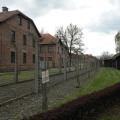 Calle y cercado de Auschwitz