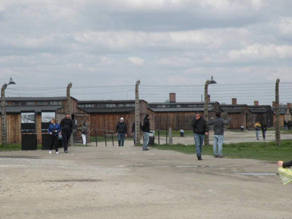 Calle y cercado de Auschwitz