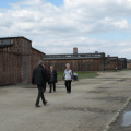 Varios barracones de madera Auschwitz II - Birkenau