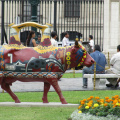 Otra vaquita en la Plaza de Armas de Lima