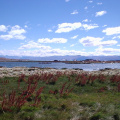 patagonia_argentina_445