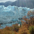 patagonia_argentina_517
