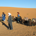 Calientando los camellos para iniciar el viaje