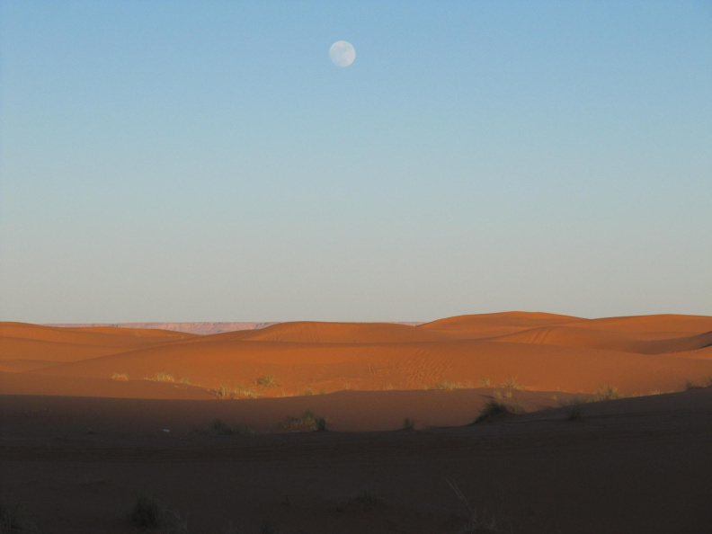 sahara_desert_2015-018.jpg