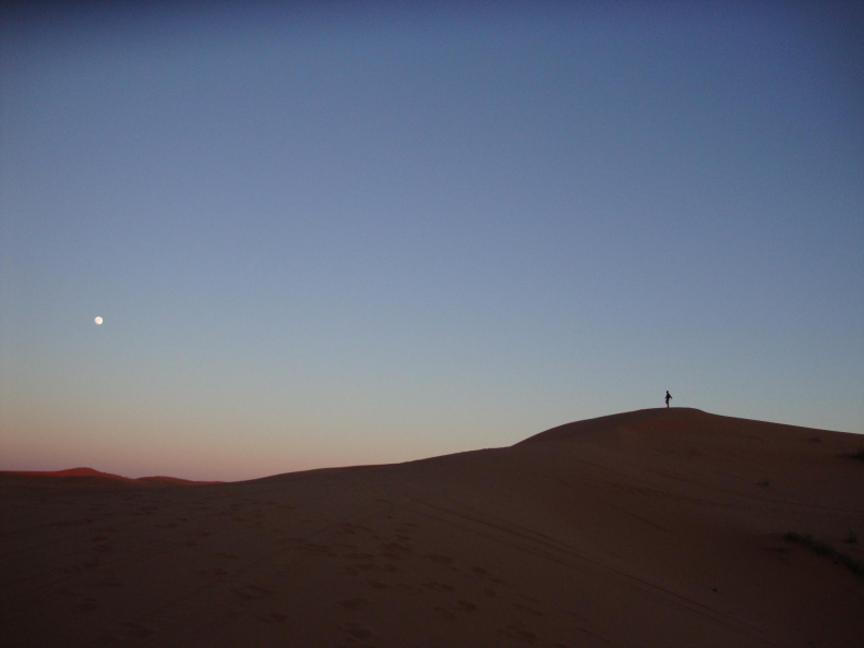 sahara_desert_2015-029.jpg