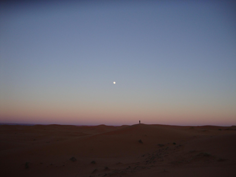 sahara_desert_2015-031.jpg