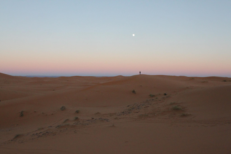 sahara_desert_2015-032.jpg