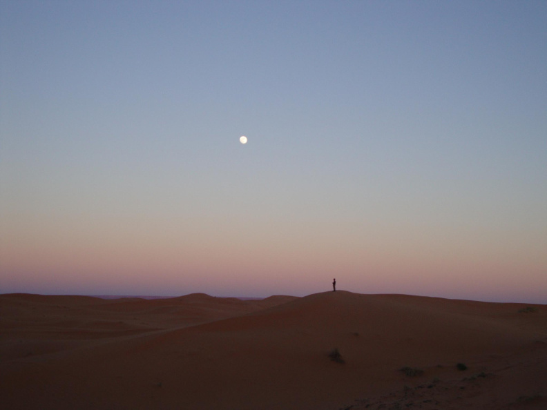 sahara_desert_2015-033.jpg