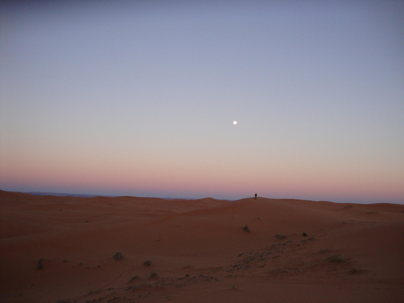 sahara_desert_2015-034.jpg