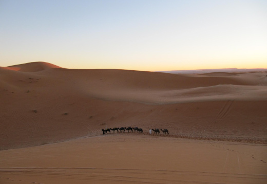 Dunas y el sol al amanecer en el desierto de Sahara (3134 visitas) Dunas y el sol al amanecer en el desierto de Sahara