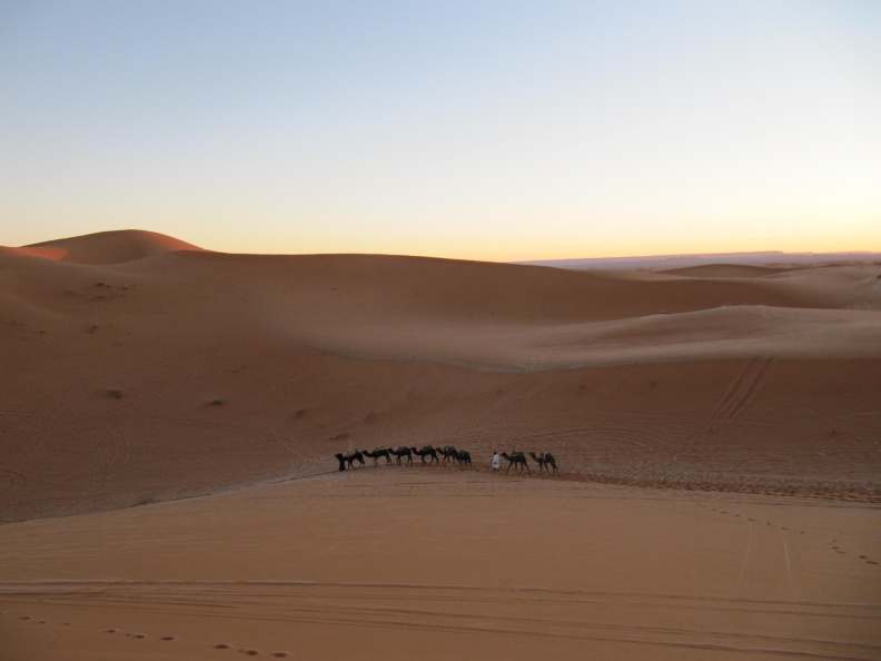 sahara_desert_2015-058.jpg