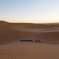 sahara_desert_2015-058.jpg
